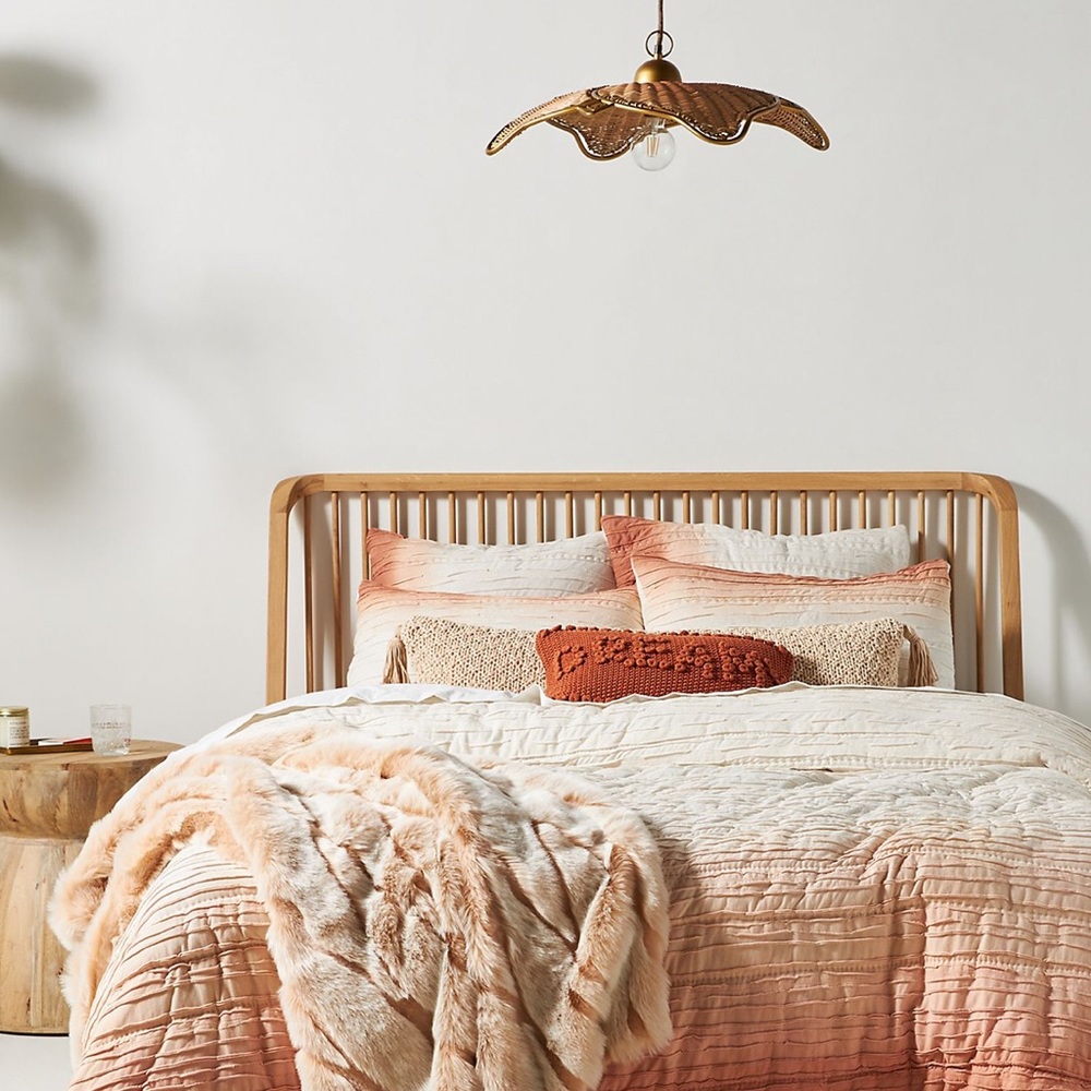 🌱Marlowe Anthropologie Ombré cozy comforter